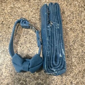 Blue Dog Collar and Leash Set